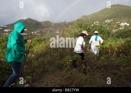 Antillen Antillen Strand Bovenwinden Bovenwindse Karibik Cordes Dawn Tag tagsüber niederländischen Eiland Eilanden französische Gruppe horizontale Stockfoto