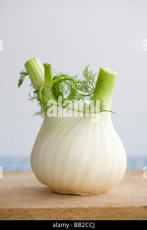 Eine ganze Fenchel auf ein Schneidbrett aus Holz Stockfoto