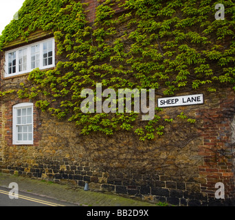 Haus in Schafe Lane bedeckt mit wildem Wein (parthenocissus Subtomentosa), Midhurst, West Sussex, Großbritannien Stockfoto