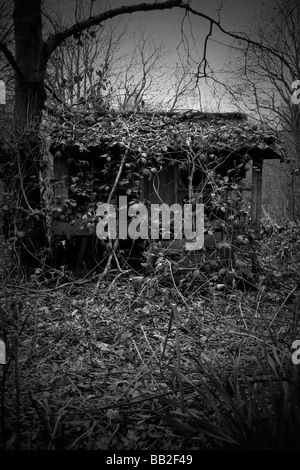 Creepy aufgegeben Schäferhütte aufgesogen durch den Wald in remote-Landschaft Stockfoto