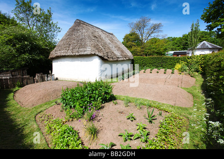 Garten des Bauernhauses Nant Wallter Thatched Cottage bei St Fagans nationalen Geschichte Museum of Welsh Life in der Nähe von Cardiff Stockfoto