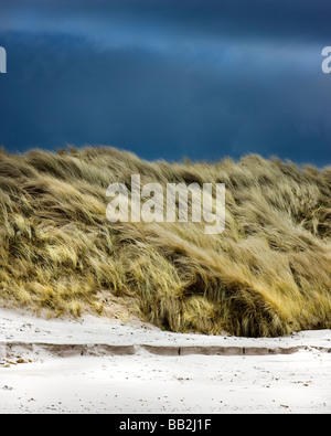 Wind geblasen Sanddüne unter einem stürmischen Winterhimmel Sandham Bucht, heilige Insel Lindisfarne, Northumbria UK Stockfoto