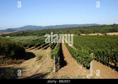 Weingut in der Toskana 2 Stockfoto