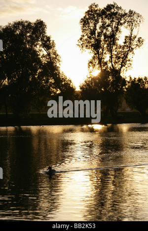 Von Chester, England. Ruhige Sonnenuntergang Szene der Enten auf dem Fluss Dee mit Chester Wiesen im Hintergrund abhebt. Stockfoto