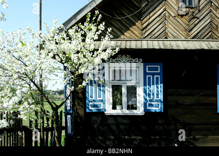 Geschmückten Fenster in Soce Dorf, Polen Stockfoto