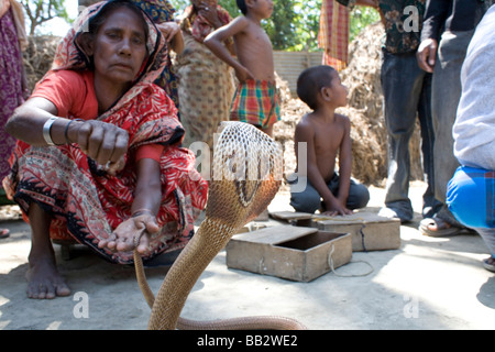 Alltag in Bangladesch; eine Zigeunerin arbeitet mit einer Kobra Schlange. Stockfoto