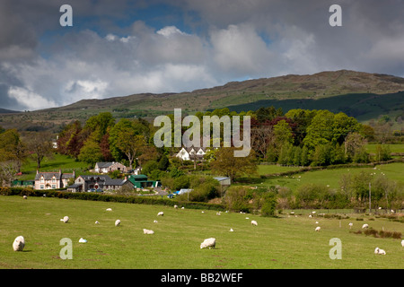 Rollen Ackerland Rand Snowdonia-Nationalpark in der Nähe von Rowen. Conway County. Nord-Wales. Europa Stockfoto