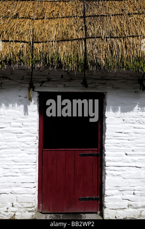 Reetdach-Ferienhaus mit halb offenen rot weiße Holztür Fenster Rahmen weiß traditionelle lackiert Stein Irland Stockfoto