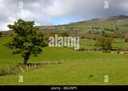 Hügeligem Ackerland am Rand Snowdonia-Nationalpark in der Nähe von Rowen. Conway County. Nord-Wales. Europa Stockfoto