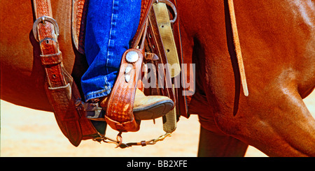 Aufnahmen von westlichen Erbe und Kleidung einschließlich Cowboyhüte, Stiefel, Chaps, Seile, Gurte, Steigbügel, Longhorn-Rinder und Pferde Stockfoto