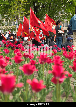 Toronto-Tamilen Protest gegen Krieg in Sri Lanka Stockfoto