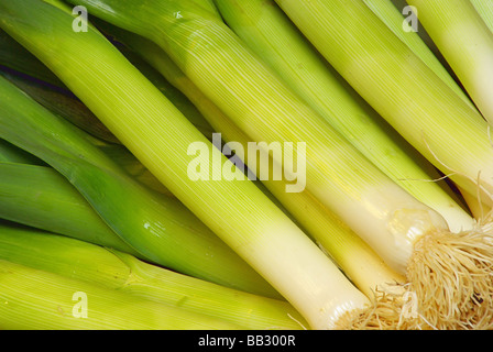 Porree Lauch 02 Stockfoto