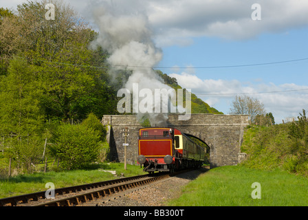 Dampfzug auf der Lakeside & Haverthwaite Railway, in der Nähe von Newby Bridge, Nationalpark Lake District, Cumbria, England UK Stockfoto