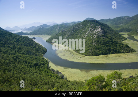 Montenegro, Rijeka Crnojevica. Ansicht des Crnojevica River Delta in der Nähe von Lake Skadar Stockfoto