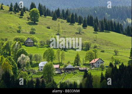 Montenegro. Kosovo-Grenze. Dacici Dorf, Frühling Bergblick am Straßenrand Rozaje Stockfoto