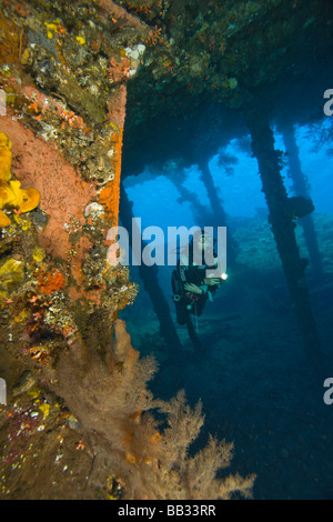 Indonesien, Bali Provinz, Tulamben. (MR) Frau Taucher, Liberty Schiffswrack. Stockfoto