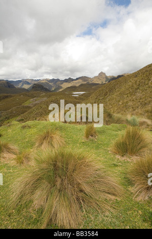 Südamerika, Ecuador.  Cajas Nationalpark, 35km nordwestlich von Cuenca, enthält 290 Quadratkilometer des paramo Stockfoto