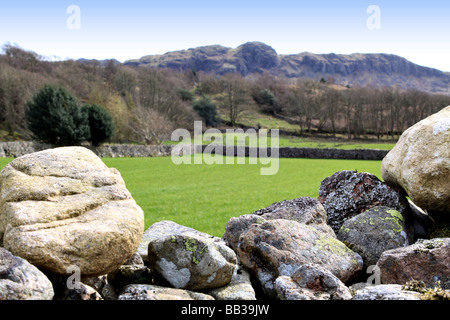 Cambrian kleinräumige landwirtschaftliche Region mit kleinen große traditionelle handgefertigte Steinmauern mit fruchtbaren Wiesen Stockfoto