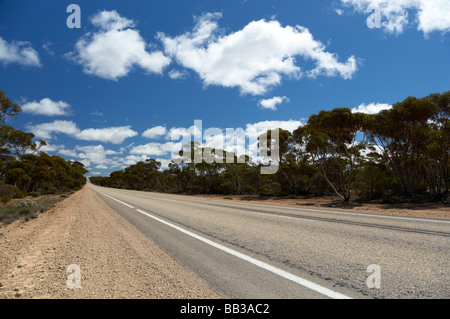 Die Erye Autobahn in South Australia die Hauptstraße in Süd-Australien Stockfoto