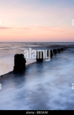 Buhnen in der Morgendämmerung am Frinton-On-The-Sea auf der Küste von Essex Stockfoto