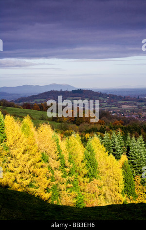 Blick von der Cotswold Böschung mit den Malvern Hills in der Ferne als herbstlichen Sonnenschein leuchtet Nadelwald Stockfoto