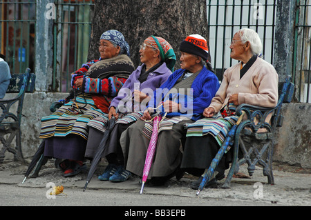 Indien, Darjeeling. Gruppe der alte Nepali Frauen sitzen auf einer Bank, Sikkim oder Nepali traditionelle Kleider tragen Stockfoto