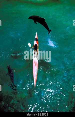 USA, Hawaii. Delphin springen über Seekajak Stockfoto