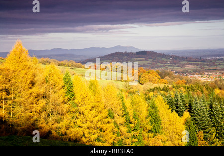 Dramatische stürmischen Licht auf Nadelwald und Malvern Hills von Cotswold Böschung, Gloucestershire, England, Großbritannien Stockfoto