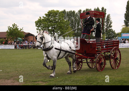 Schweren Pferd ziehen Schlitten in Nottinghamshire county show Stockfoto