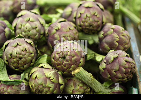 Artischocken in einem Markt, Rom, Italien Stockfoto