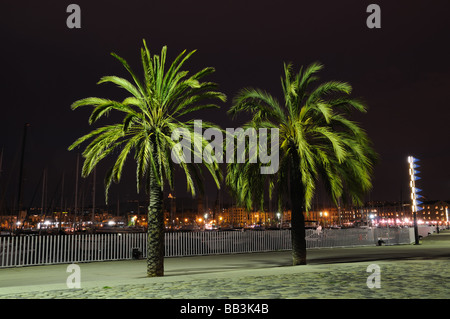 Beleuchteten Palmen im Port Vell, Barcelona-Spanien Stockfoto