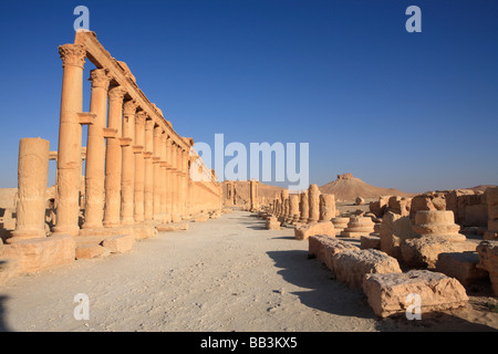 Grand Säulenstraße, Palmyra, Syrien Stockfoto