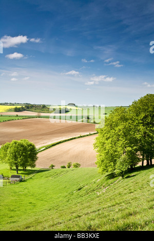 Blick auf Ackerland und Hügellandschaft in Wiltshire England UK Stockfoto