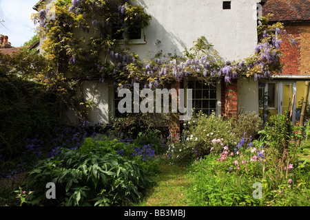 Kent Bauerngarten mit Glockenblumen Wisteria Potentilla Iris und Akeleien, Kent UK Stockfoto