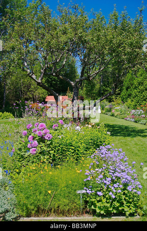 Nordamerika, USA, Maine, Northeast Harbor.  Thuya Gärten. Stockfoto