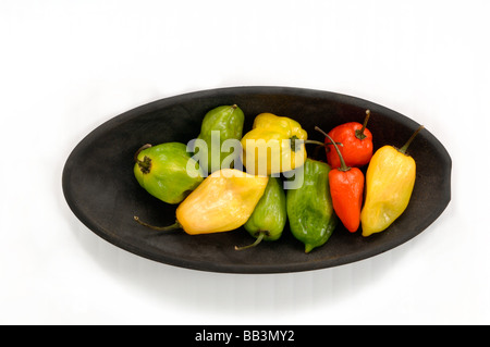 Künstlerische, kulinarische Anordnung der Früchte Gewürze Kräuter Cookies und Paprika machen eine schöne Grafik von gesunden Snacks auf dem Teller Stockfoto