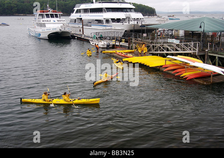 Nordamerika, USA, Maine, Bar Harbor.  Kajak fahren in den Hafen, whale Watch Boote im Hintergrund Stockfoto