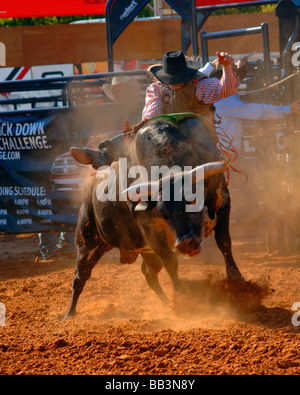 Rodeo Bull Rider Leistung an der Texas State Fair Rodeo Arena/Dallas 2008 Stockfoto