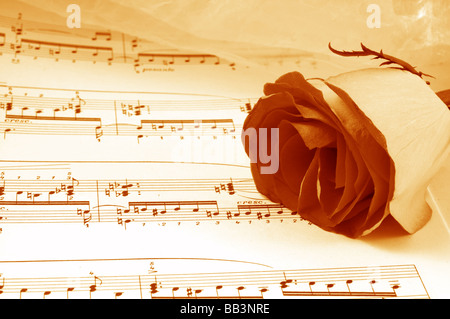 Blumen und Notizen Stockfoto