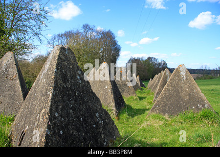 Anti-Panzer-Blöcke, Bekesbourne, Kent, England Stockfoto