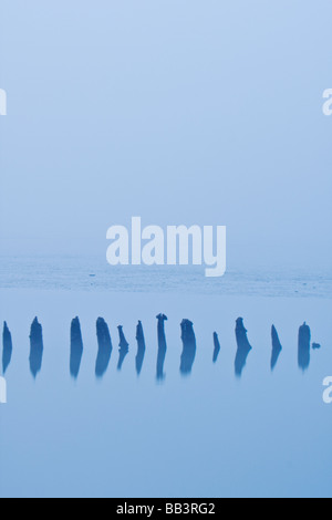 Blythburgh Mündung im Morgengrauen auf einem kalten Nebel und frostigen Morgen in Suffolk Stockfoto