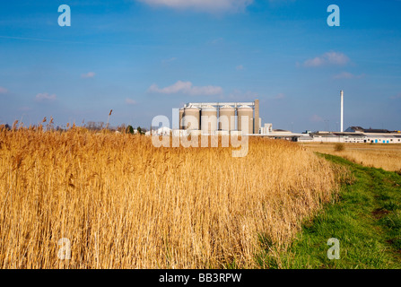 Cantley Zuckerrüben Fabrik in der Ferne im Gegensatz zu den natürlichen und wilden Einstellung der Norfolk Broads Stockfoto