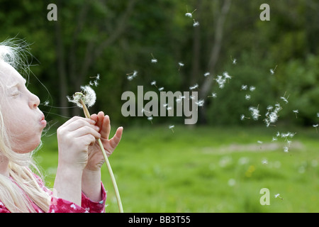 Blonde behaartes Mädchen bläst einen Löwenzahn clock in der britischen Landschaft. Stockfoto