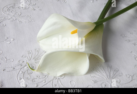 zwei Calla Lilien auf dekorative Leinen Stockfoto