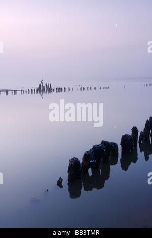 Blythburgh Mündung im Morgengrauen auf einem kalten Nebel und frostigen Morgen in Suffolk Stockfoto