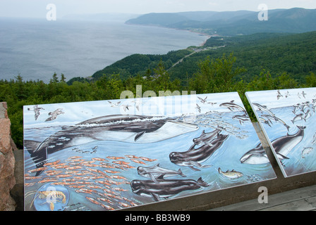 Kanada, Nova Scotia, Cape Breton Island, Cabot Trail. Mit Blick auf Pleasant Bay Cove-Punkt zu zerstören. Beliebte Whale-watching Bereich. Stockfoto