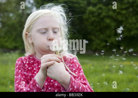 Blonde behaartes Mädchen bläst einen Löwenzahn clock in der britischen Landschaft. Stockfoto