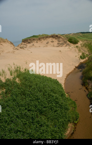 Kanada, Prince Edward Island NP, einfachen nationalen Küstenregion. Greenwich Peninsula, Cavendish Küsten-Dünenlandschaft. Stockfoto