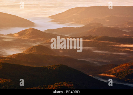Berg-Nebel bei Sonnenaufgang von Grandfather Mountain, North Carolina Stockfoto