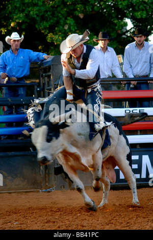 Rodeo Bull Rider Leistung an der Texas State Fair Rodeo Arena/Dallas 2008 Stockfoto